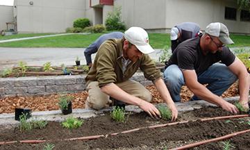 Image of the WVC learning and demonstration garden